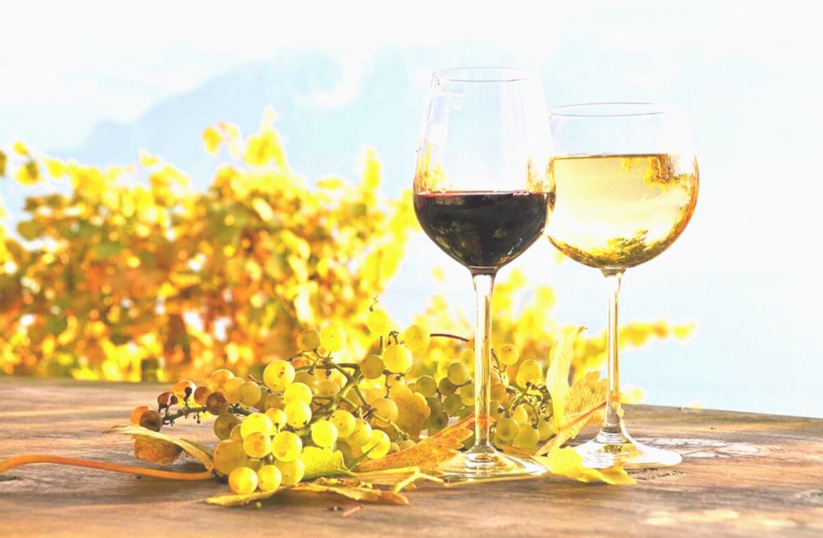 Вино как искусство: путеводитель по сортам, дегустации и винной культуре - 3